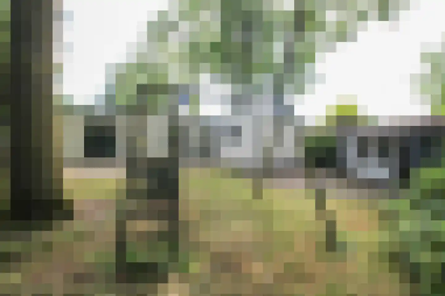 Kieftveen 18 335 Voorthuizen thumbnail 31