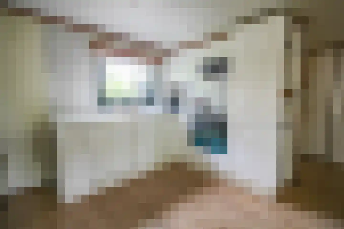 Kieftveen 18 335 Voorthuizen thumbnail 8