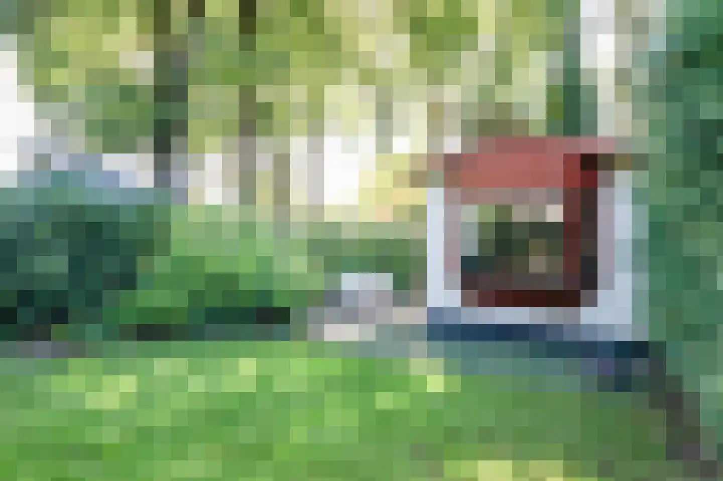 Kieftveen 18 357 Voorthuizen thumbnail 24