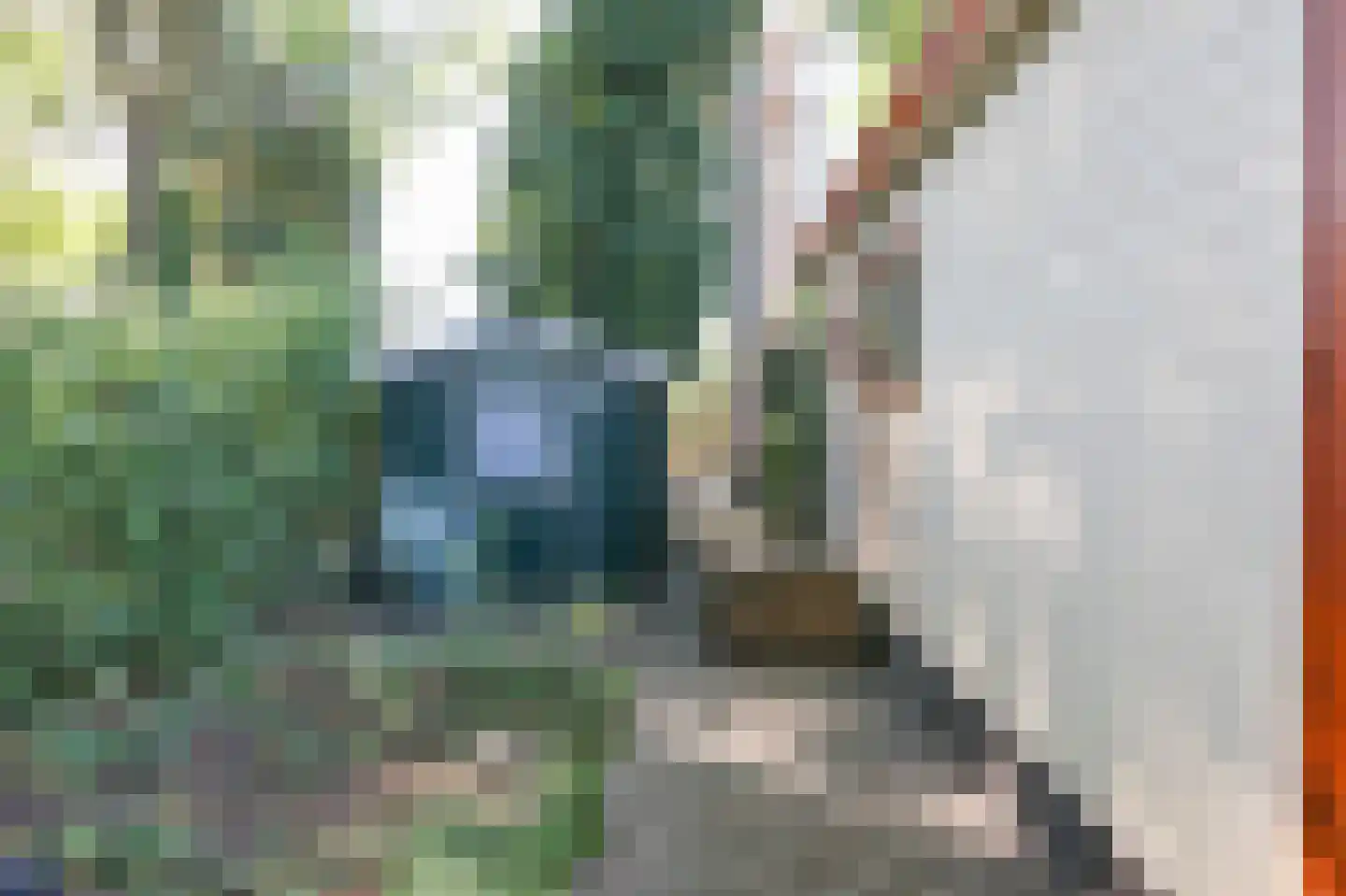 Kieftveen 18 357 Voorthuizen thumbnail 28