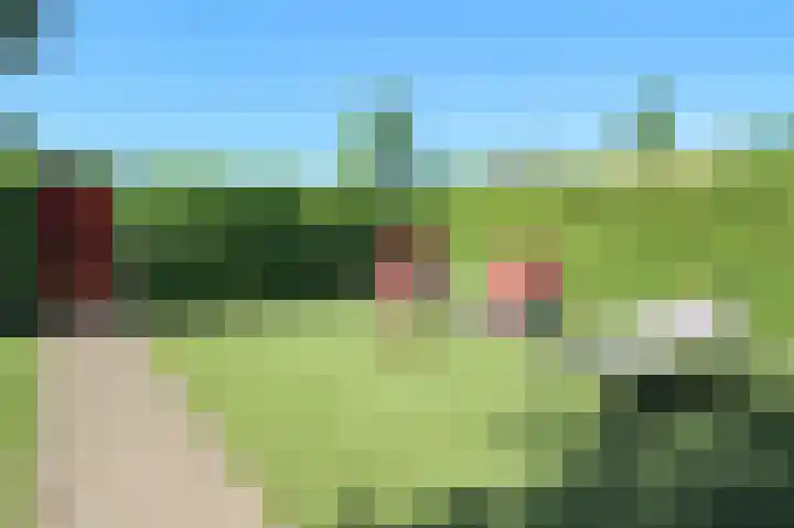 Kieftveen 18 38 Voorthuizen thumbnail 22