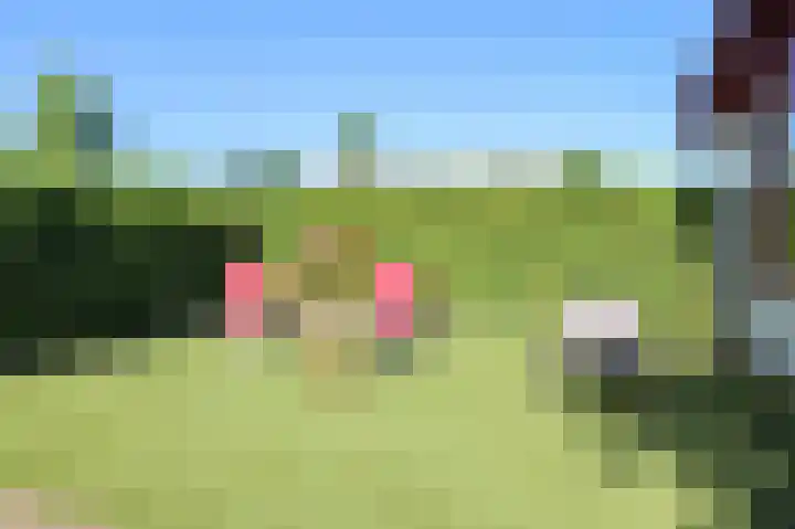 Kieftveen 18 38 Voorthuizen thumbnail 30