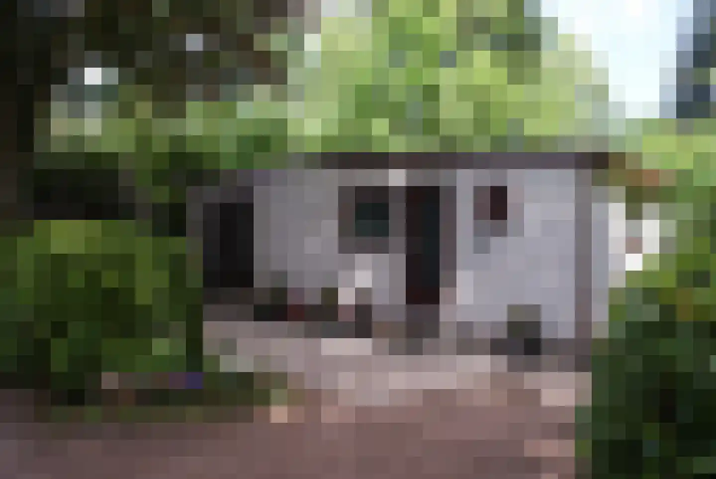 Kieftveen 18 382 dans Voorthuizen