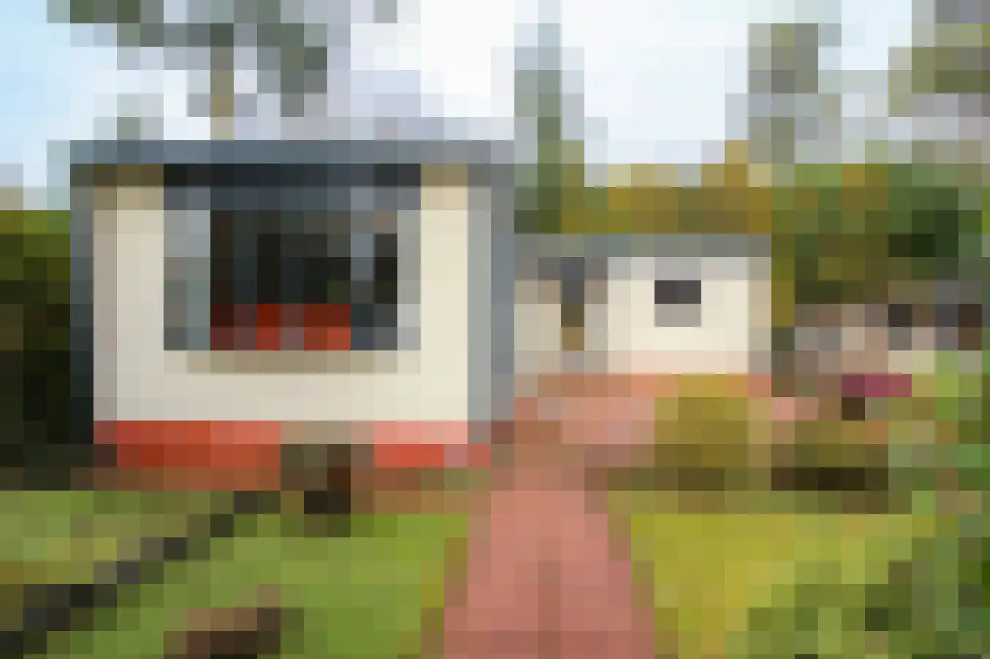 Kieftveen 18 407 Voorthuizen thumbnail 25