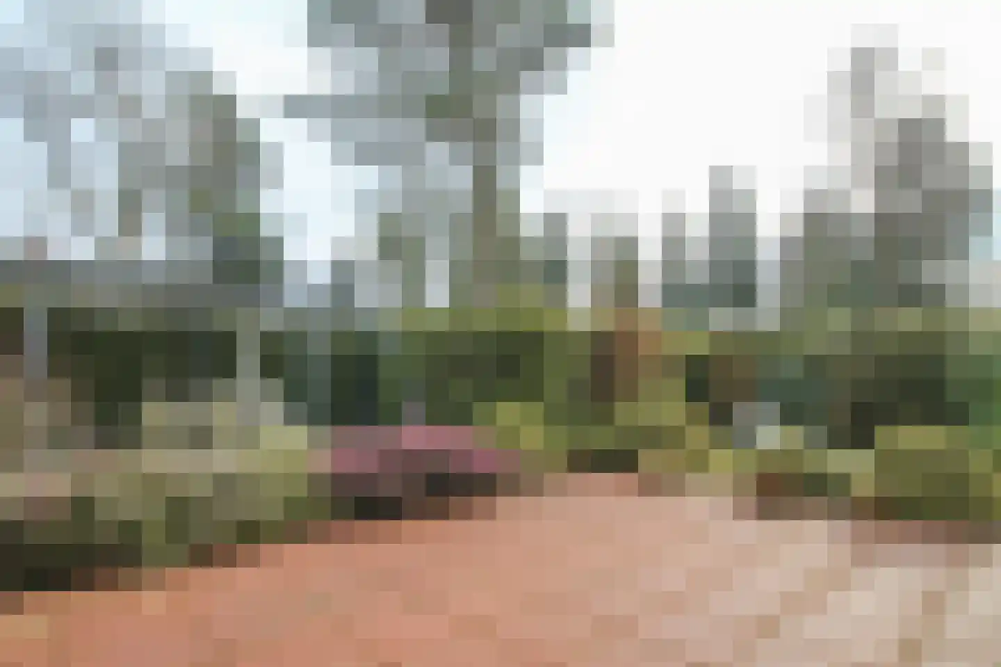Kieftveen 18 407 Voorthuizen thumbnail 36