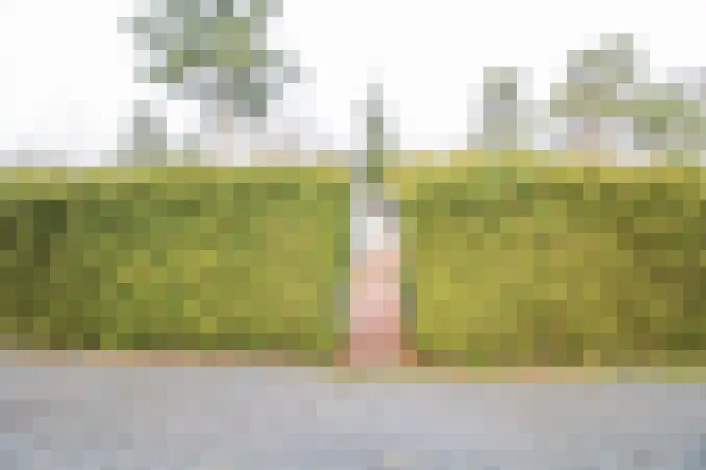 Kieftveen 18 407 Voorthuizen thumbnail 39