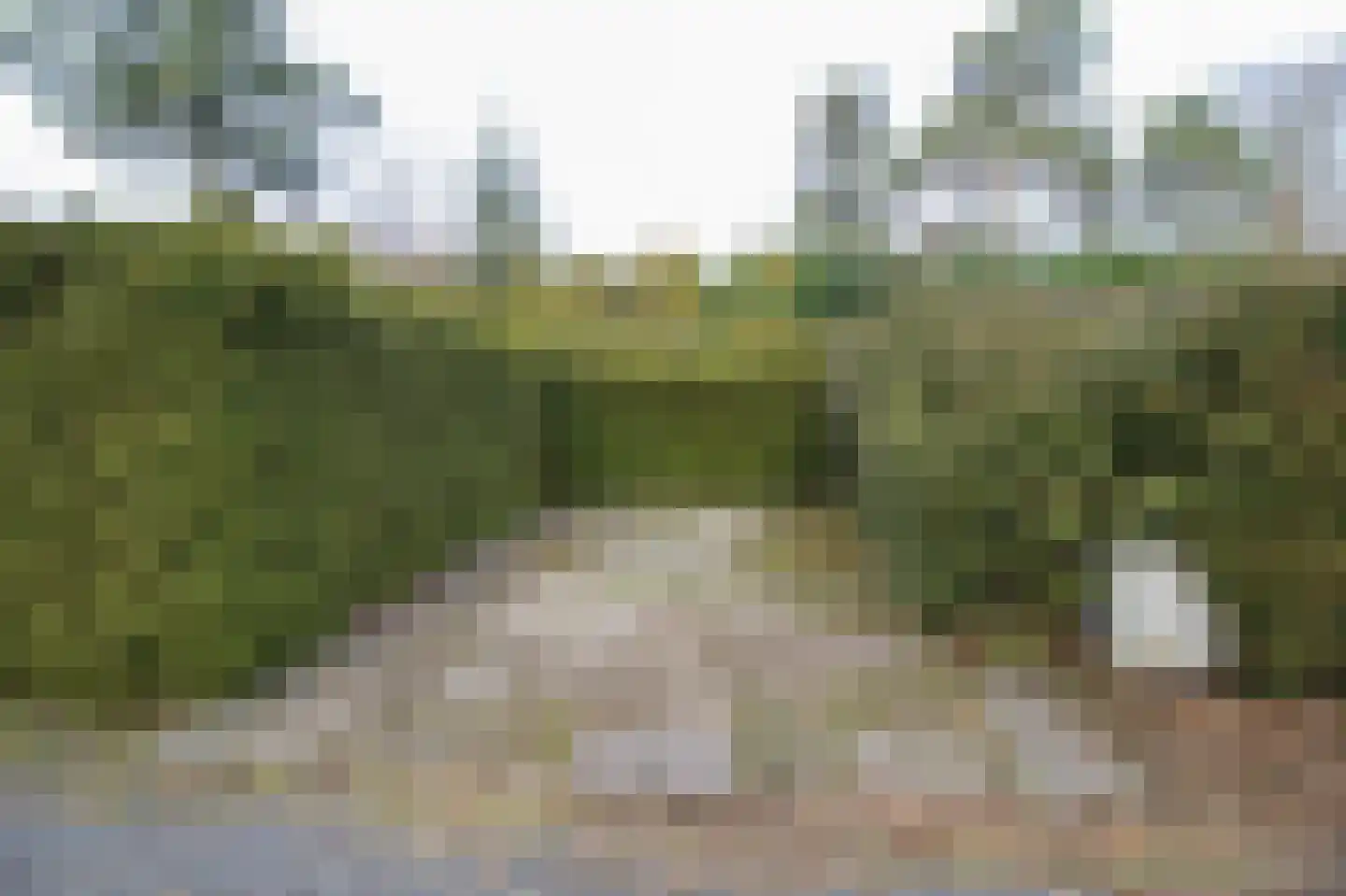 Kieftveen 18 407 Voorthuizen thumbnail 41