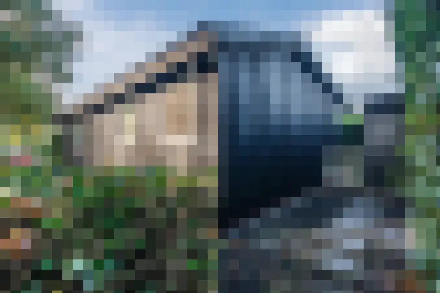 Kieftveen 18 43 Voorthuizen thumbnail 34