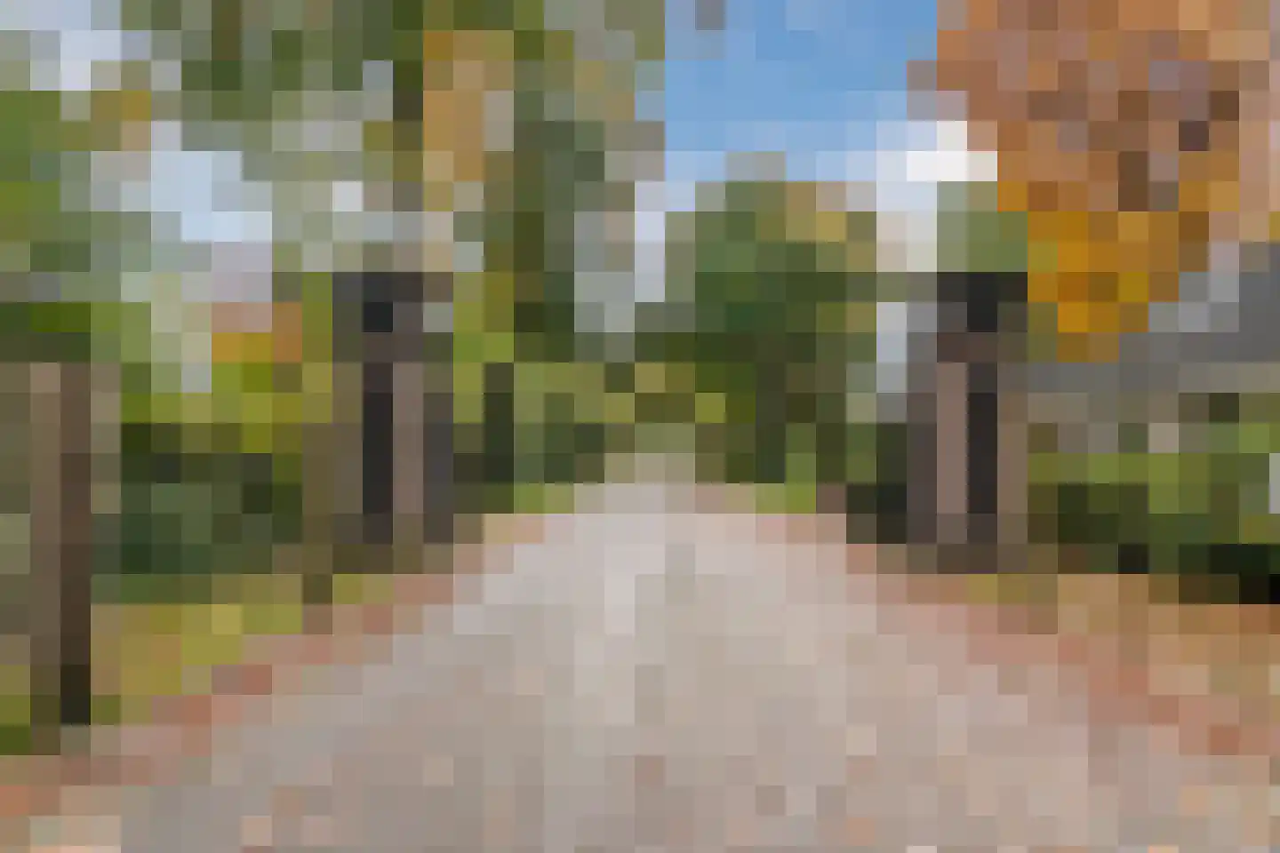 Kieftveen 18 43 Voorthuizen thumbnail 46