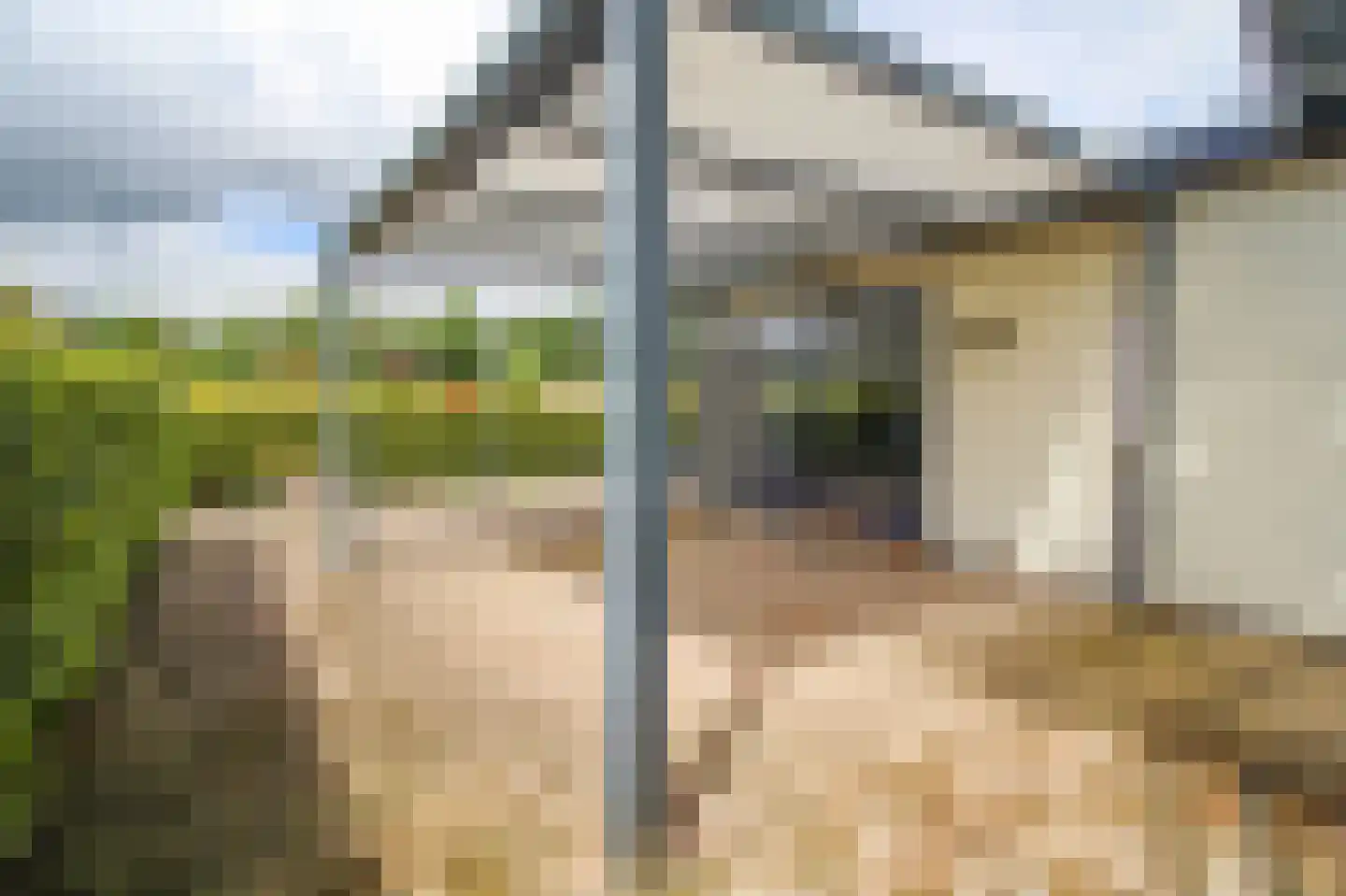 Kieftveen 18 517 Voorthuizen thumbnail 27
