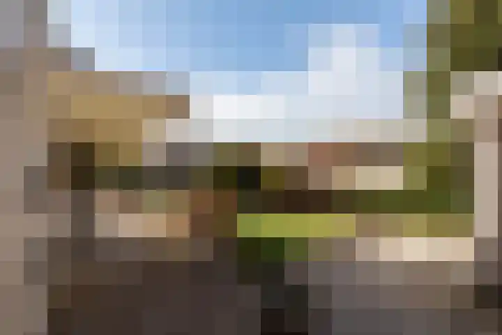 Kieftveen 18 519 Voorthuizen thumbnail 10