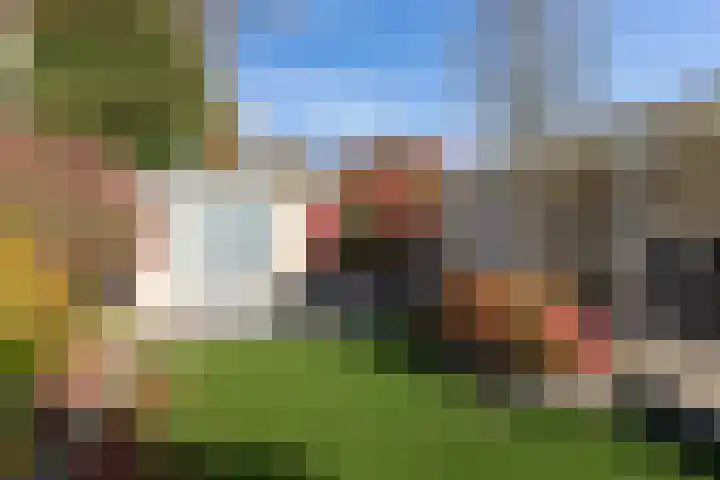 Kieftveen 18 519 Voorthuizen thumbnail 5