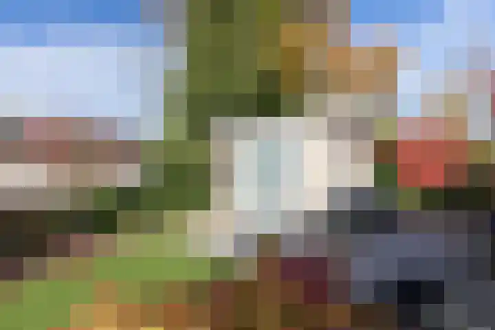 Kieftveen 18 519 Voorthuizen thumbnail 7