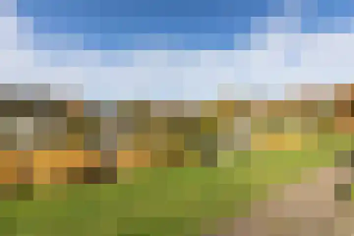 Kieftveen 18 519 Voorthuizen thumbnail 8