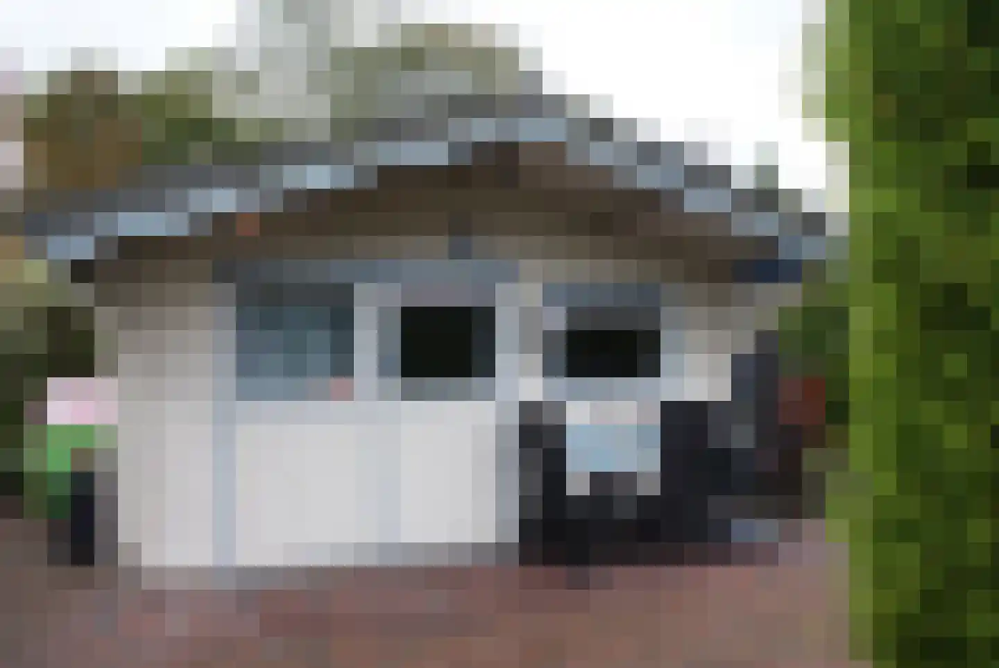 Kieftveen 18 540 Voorthuizen thumbnail 21