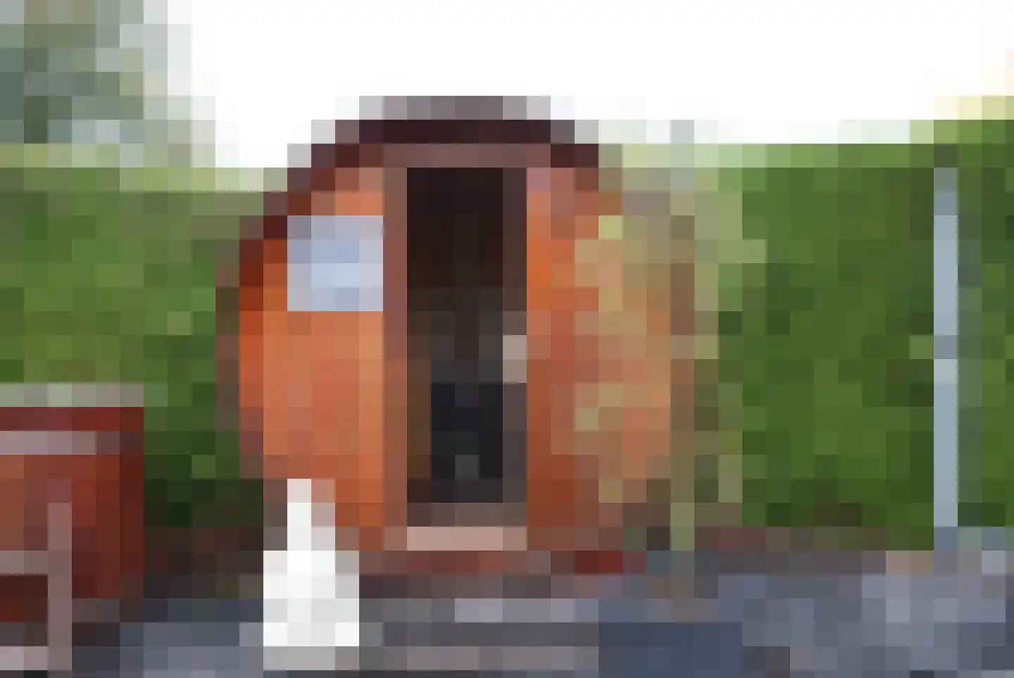 Kieftveen 18 540 Voorthuizen thumbnail 27