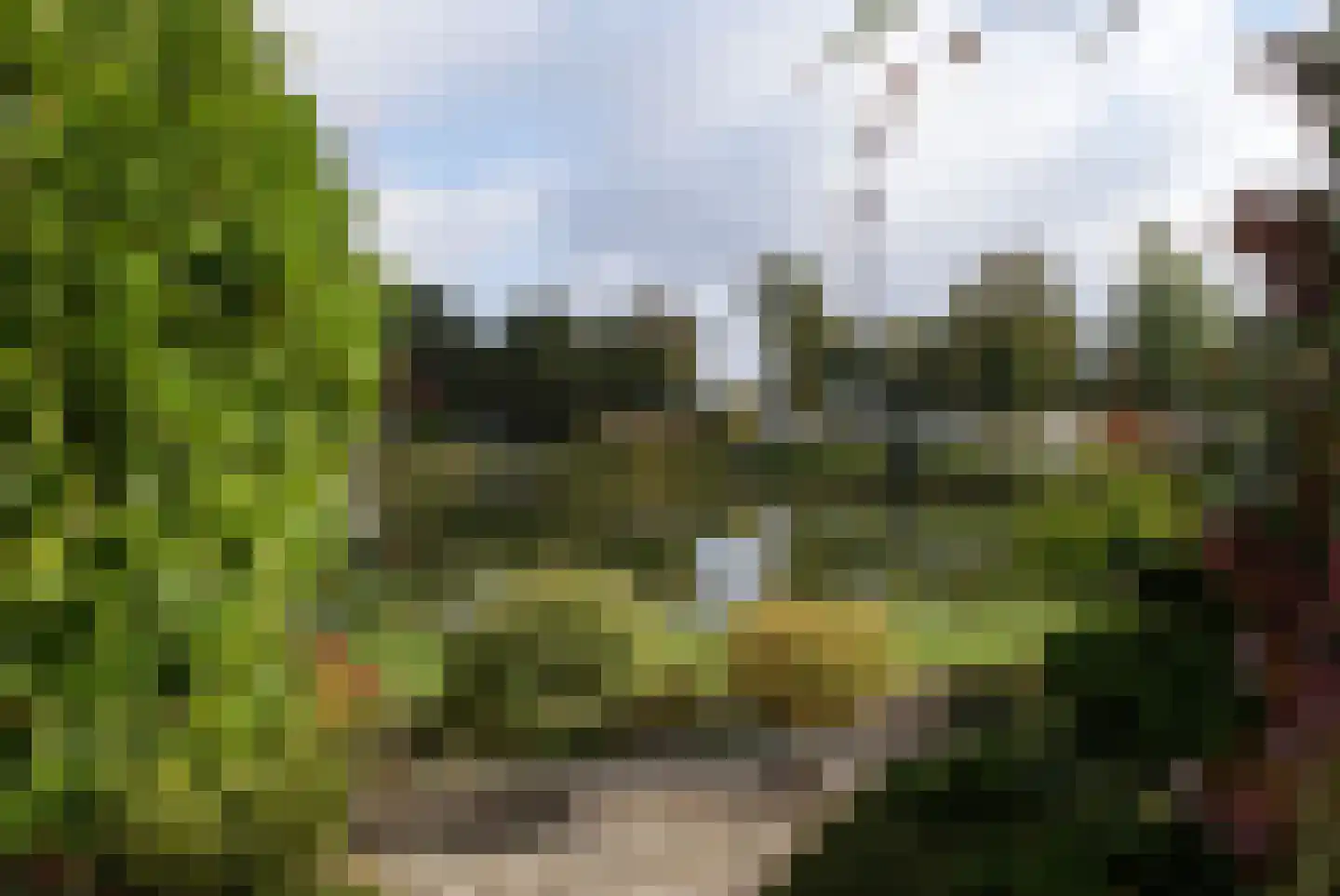 Kieftveen 18 541 Voorthuizen thumbnail 17