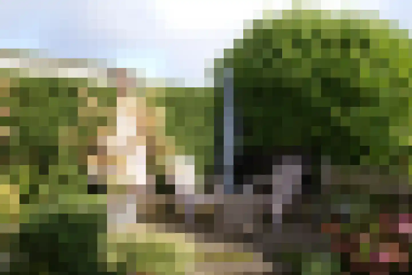 Kieftveen 18 541 Voorthuizen thumbnail 18