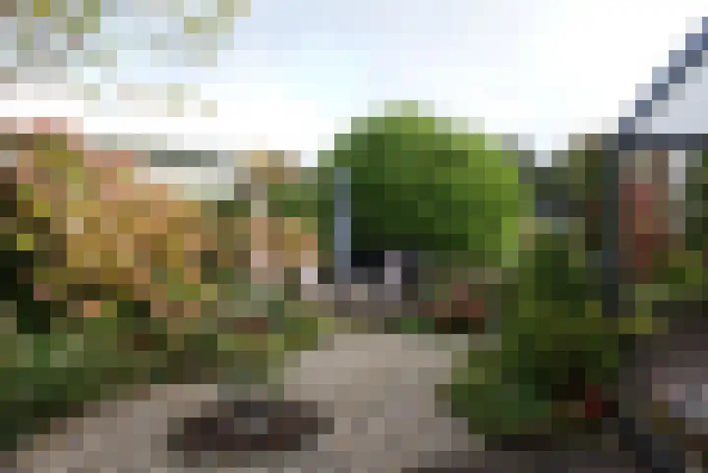Kieftveen 18 541 Voorthuizen thumbnail 19