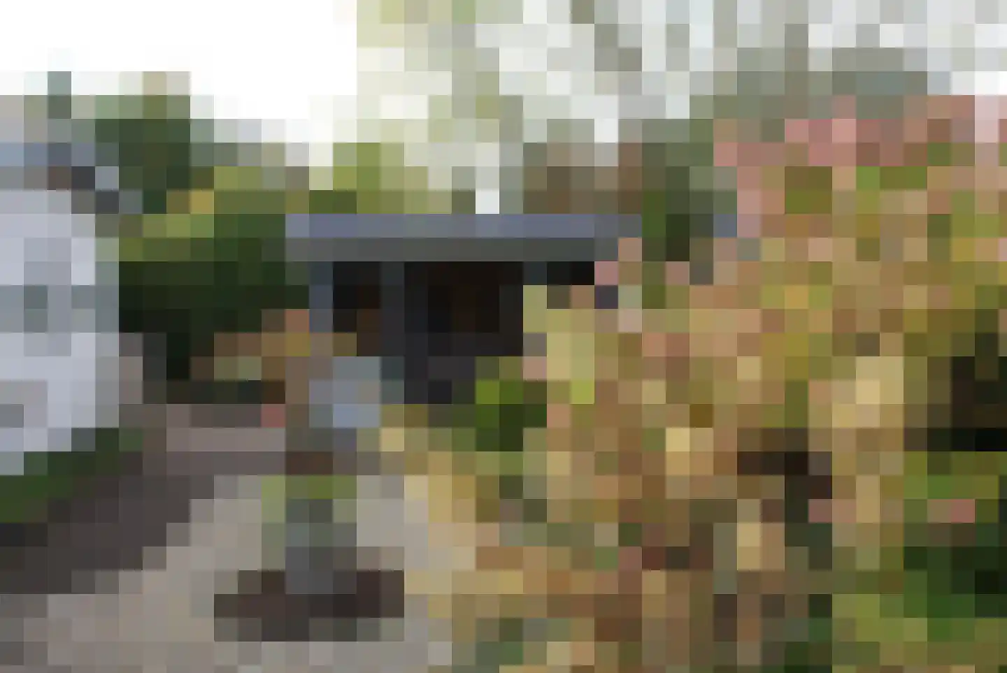 Kieftveen 18 541 Voorthuizen thumbnail 20