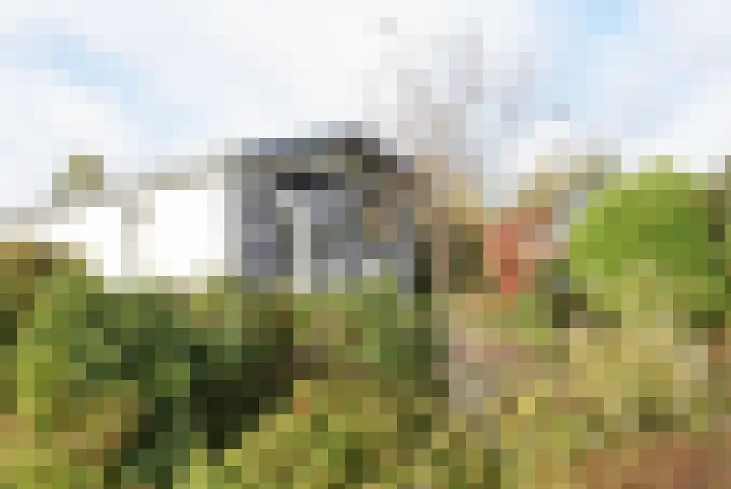 Kieftveen 18 541 Voorthuizen thumbnail 4