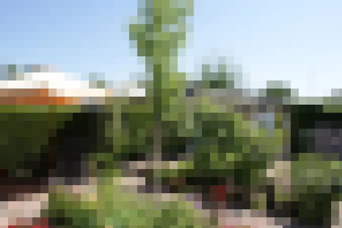 Kieftveen 18 550 Voorthuizen thumbnail 22
