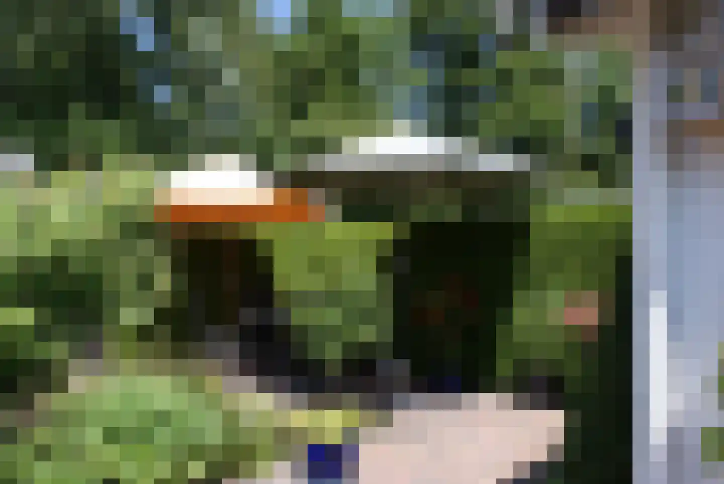 Kieftveen 18 550 Voorthuizen thumbnail 23