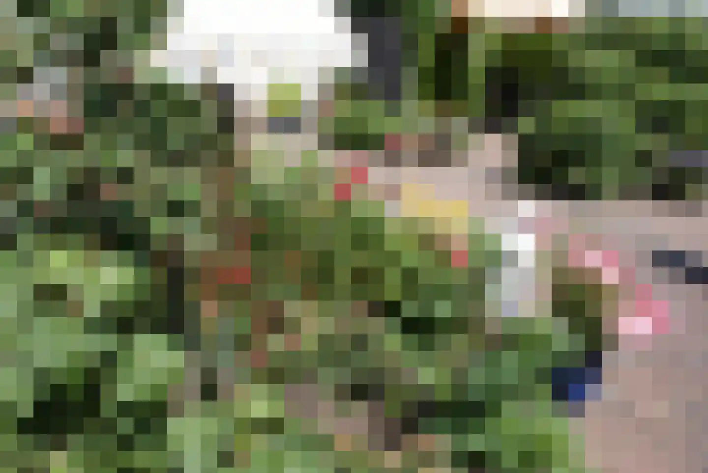 Kieftveen 18 550 Voorthuizen thumbnail 26