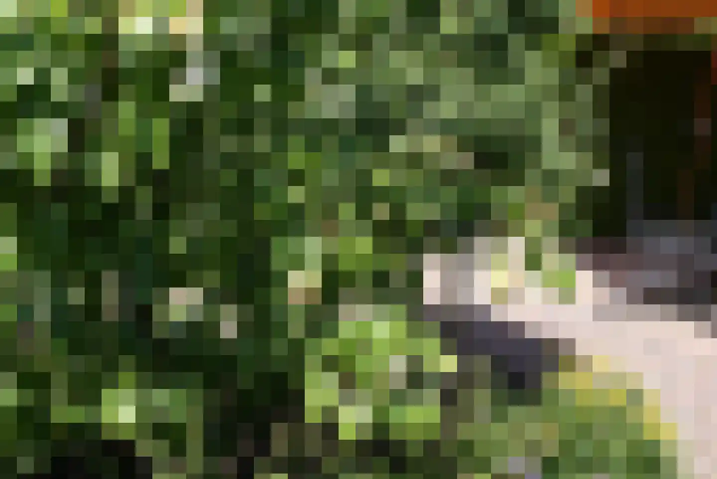 Kieftveen 18 550 Voorthuizen thumbnail 27