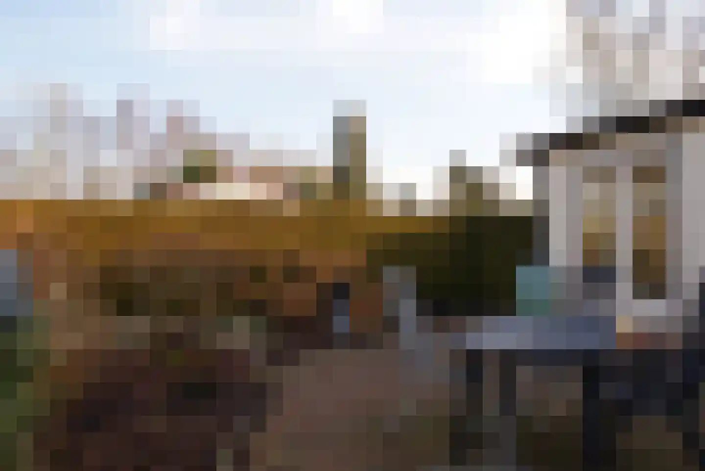 Kieftveen 18 553 Voorthuizen thumbnail 12