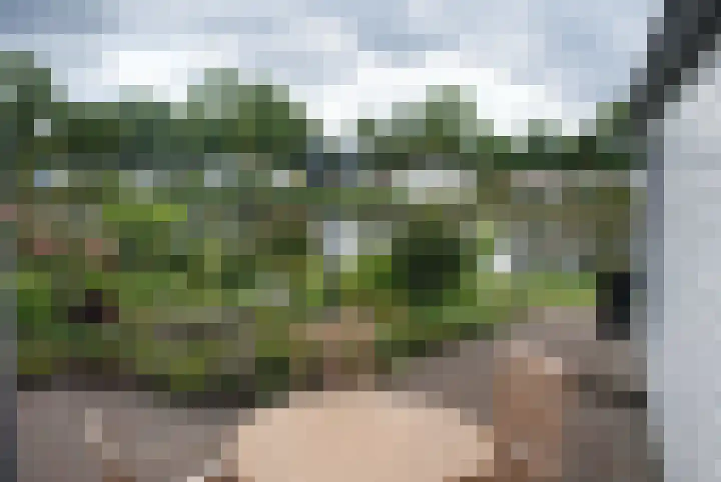 Kieftveen 18 558 Voorthuizen thumbnail 20