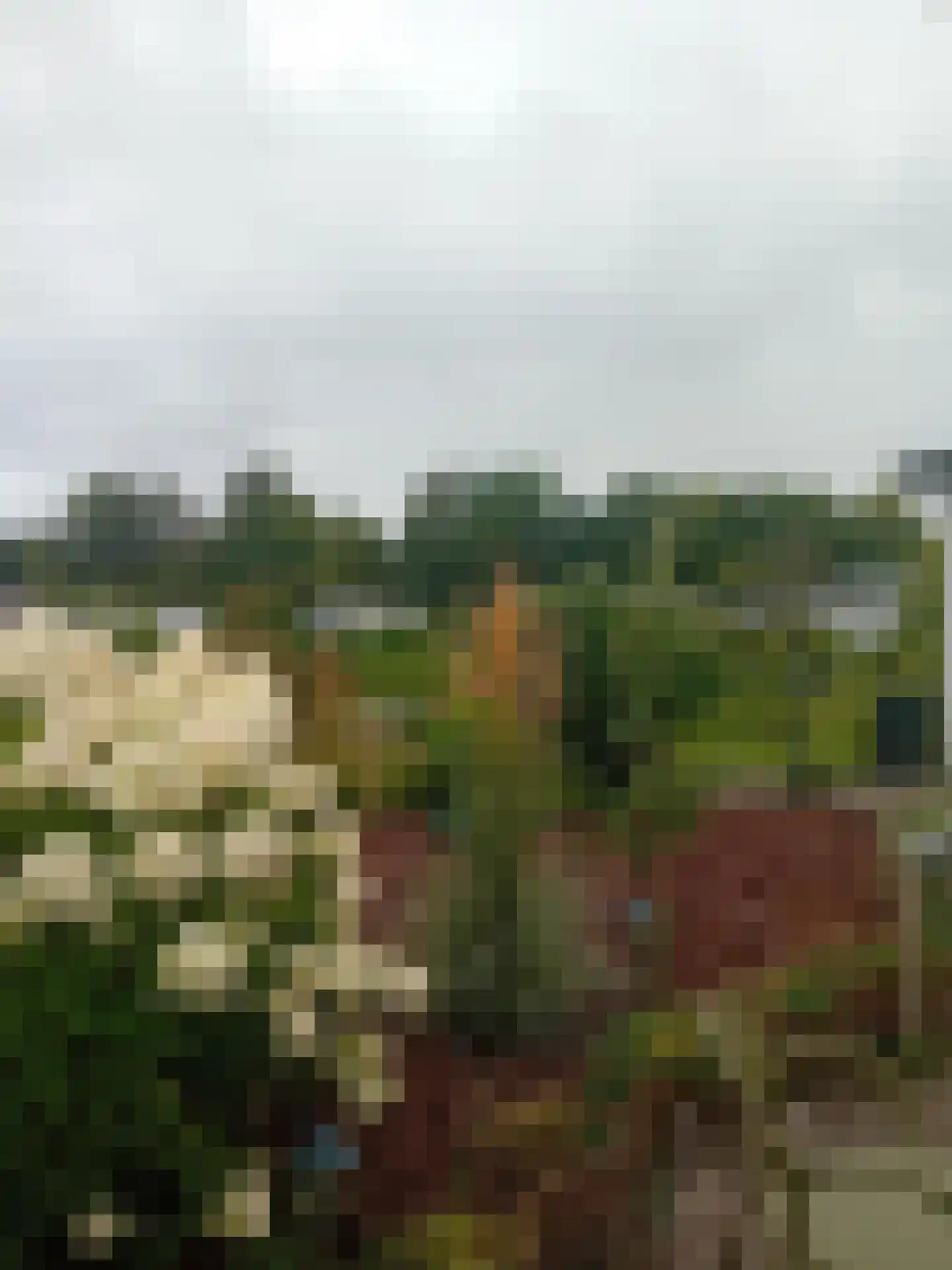 Kieftveen 18 558 Voorthuizen thumbnail 20