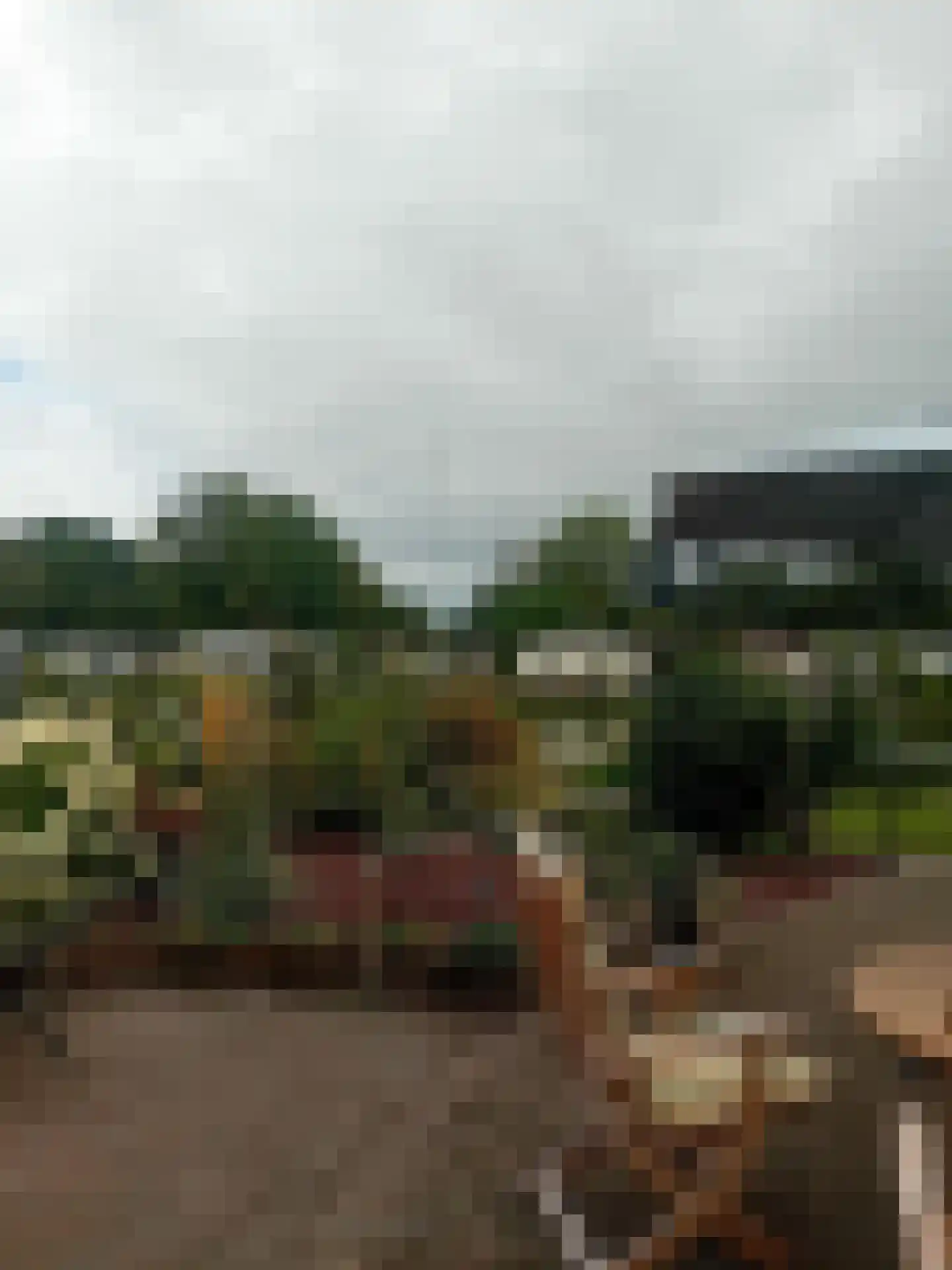 Kieftveen 18 558 Voorthuizen thumbnail 21
