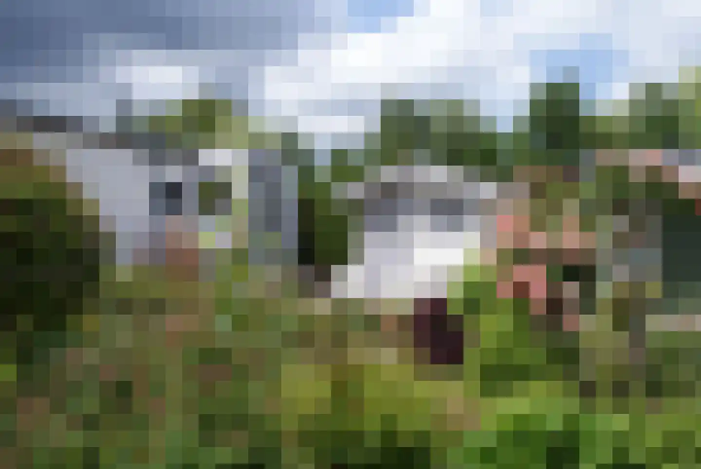 Kieftveen 18 558 Voorthuizen thumbnail 21