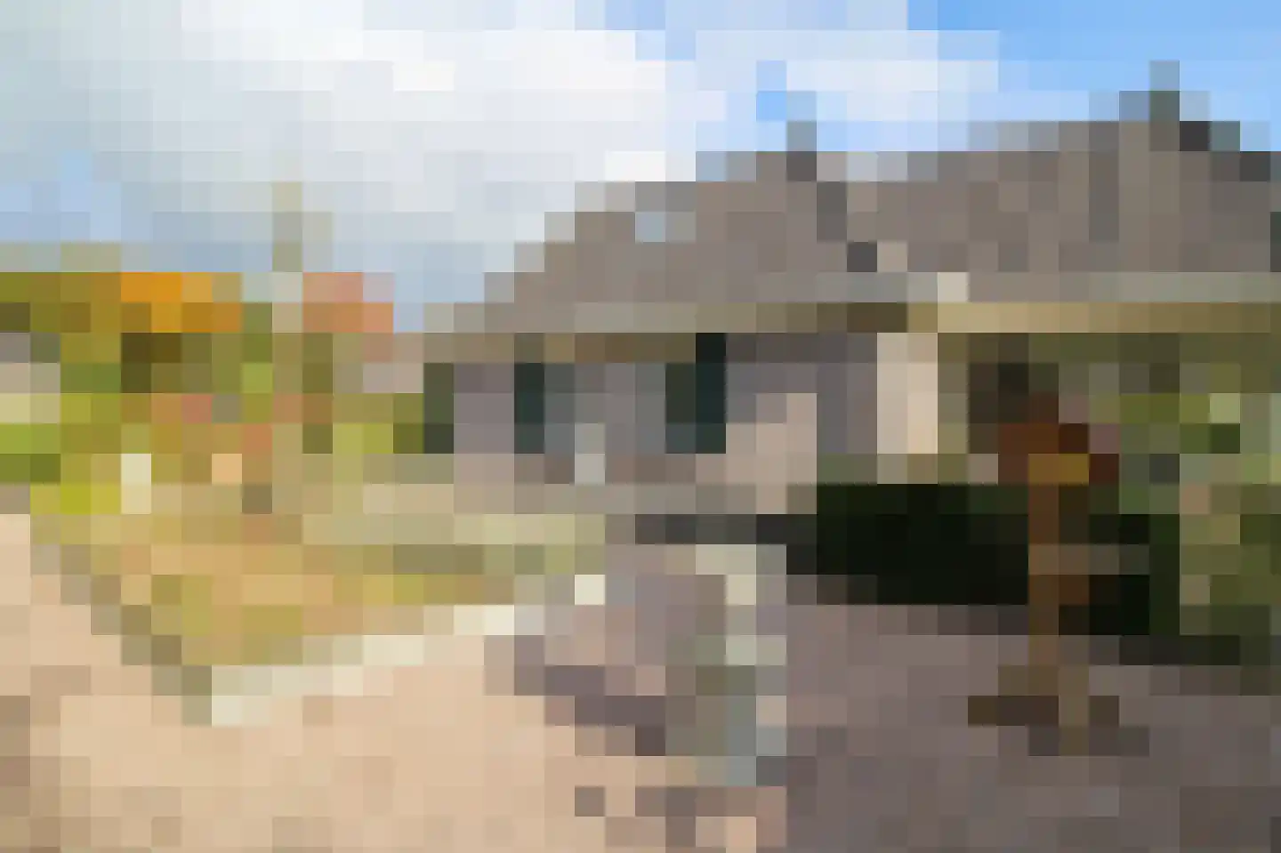 Kieftveen 18 707 Voorthuizen thumbnail 60