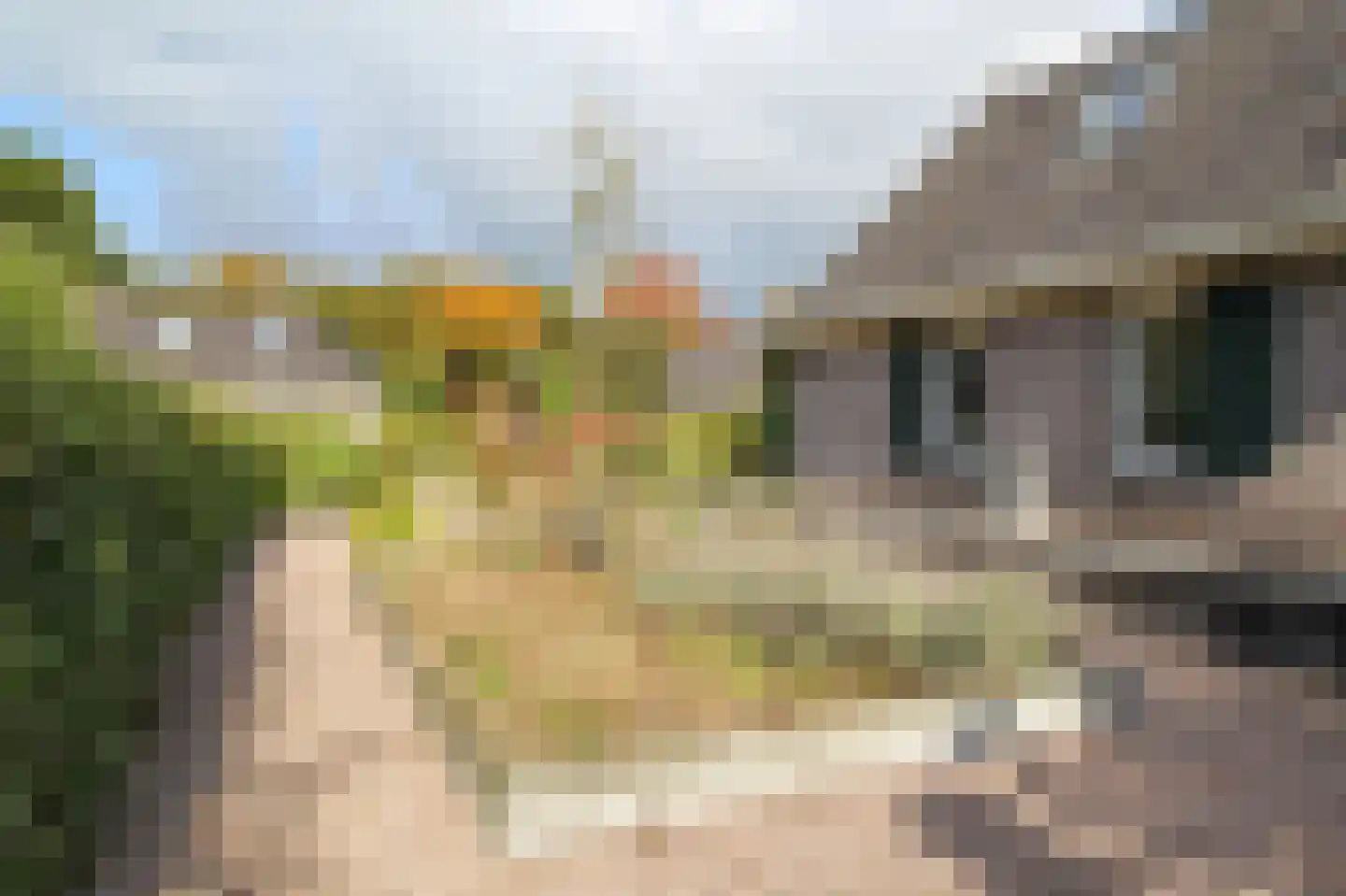 Kieftveen 18 707 Voorthuizen thumbnail 61