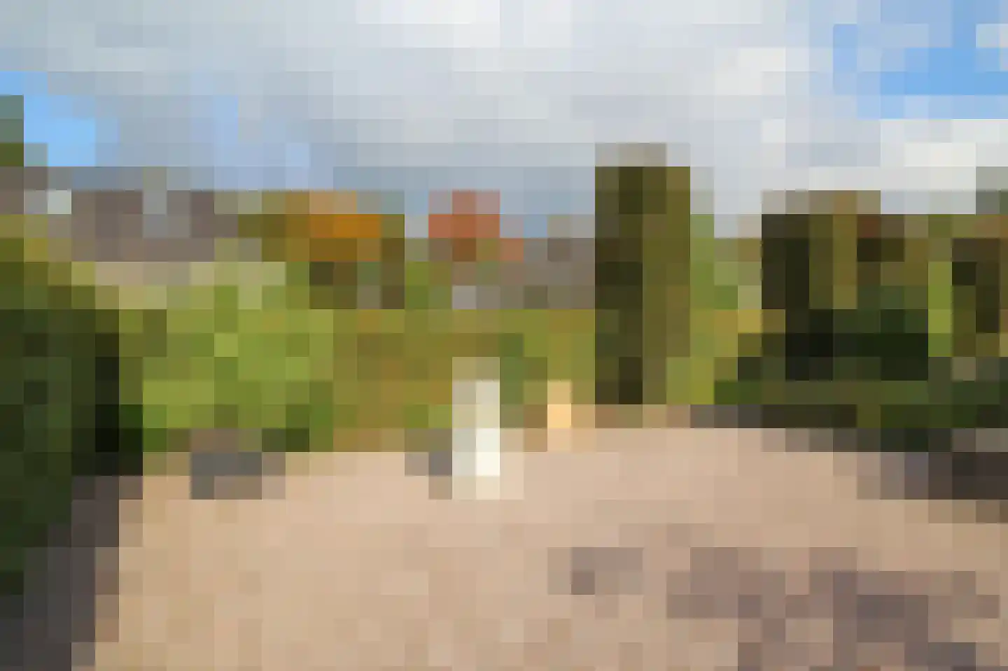 Kieftveen 18 707 Voorthuizen thumbnail 62