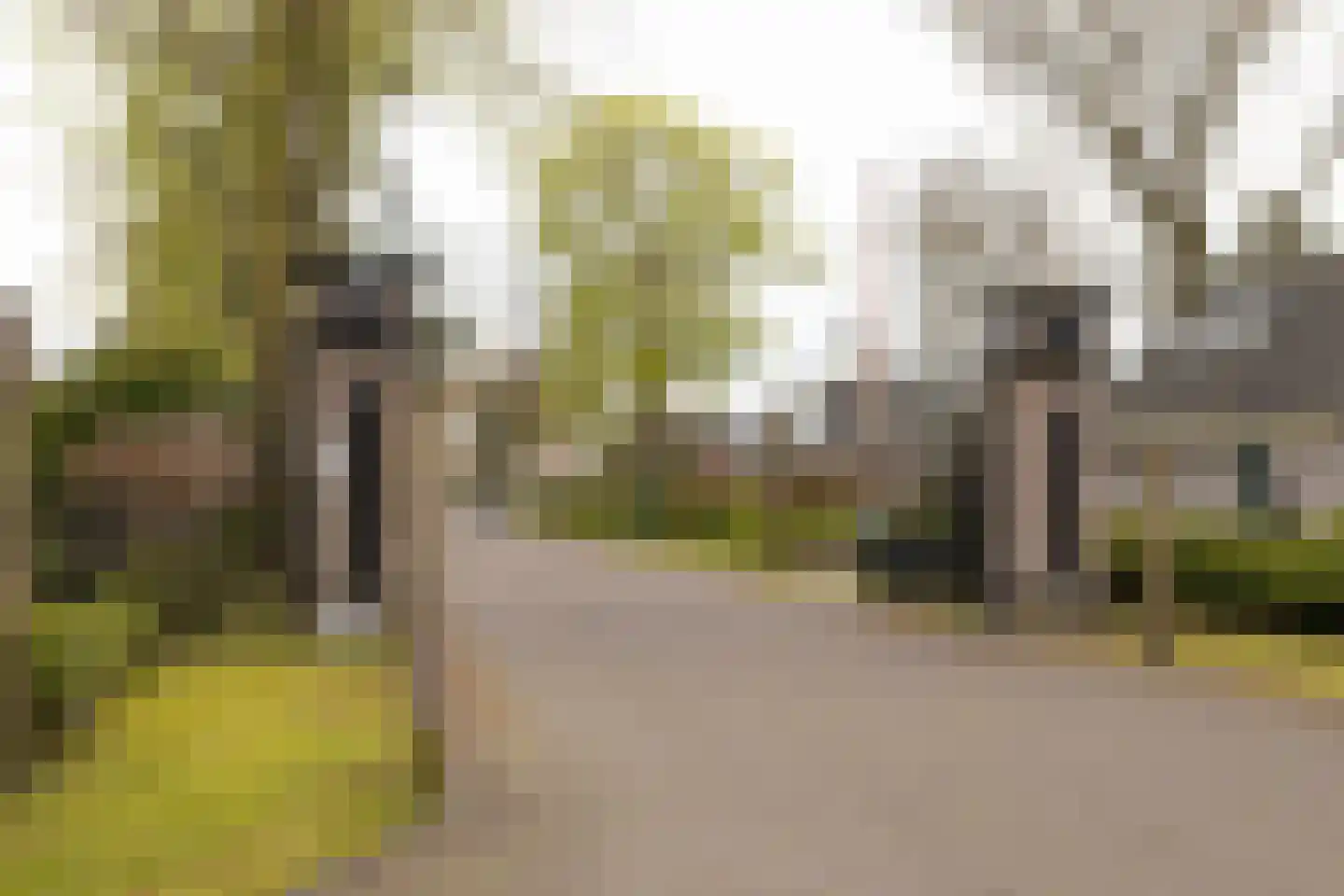 Kieftveen 18 720 Voorthuizen thumbnail 34
