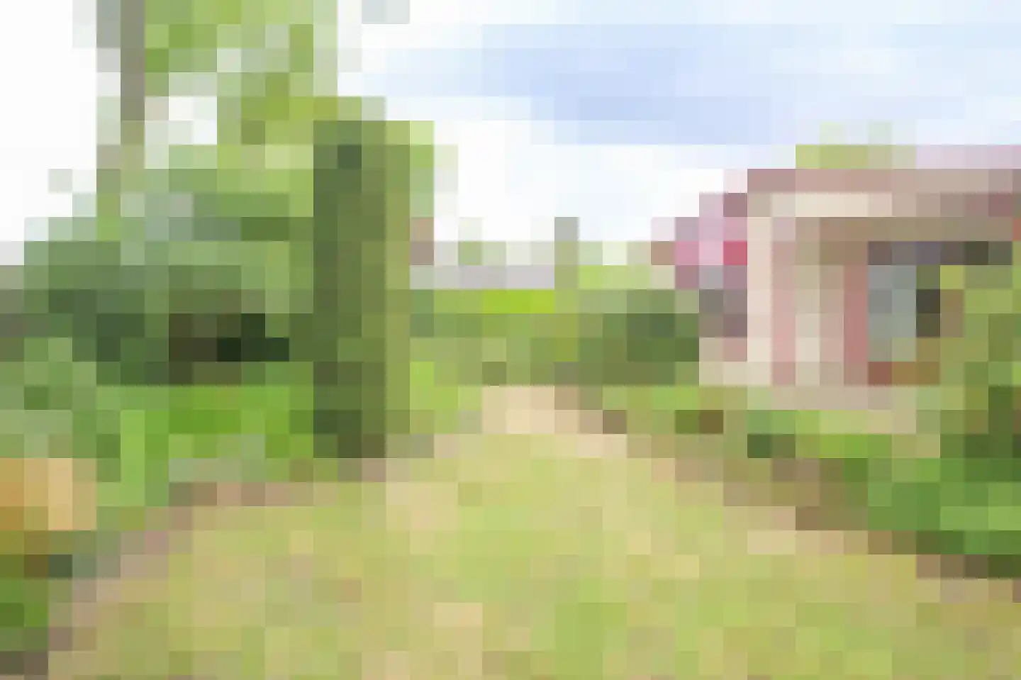 Kieftveen 18 801 Voorthuizen thumbnail 31