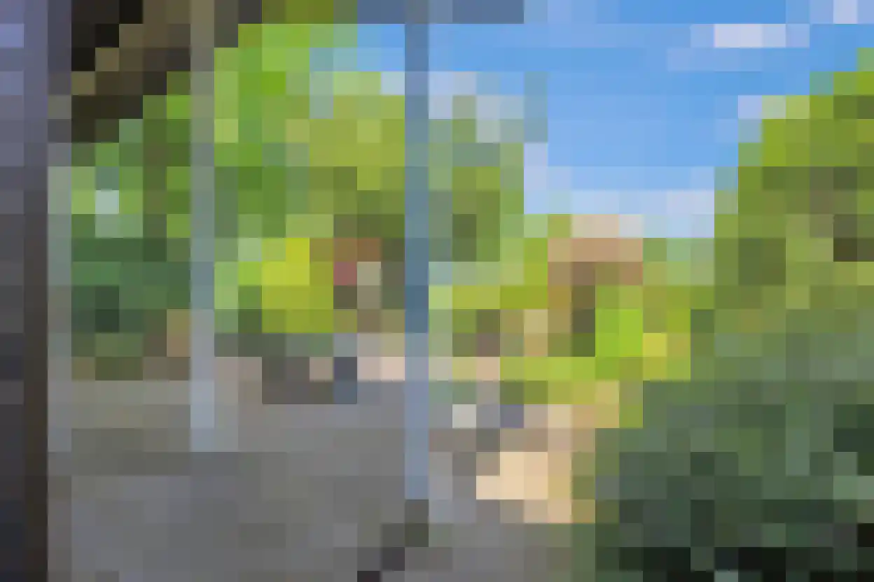 Kieftveen 18 816 Voorthuizen thumbnail 19