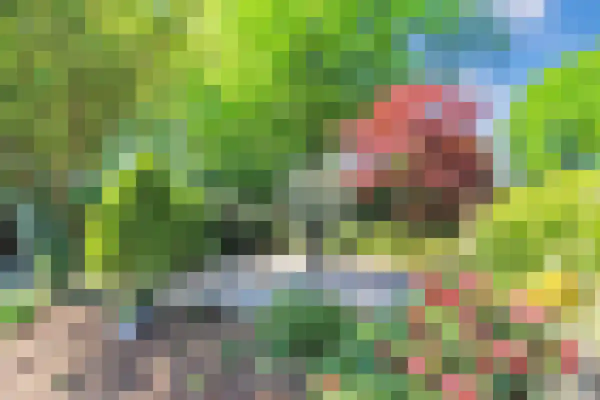 Kieftveen 18 816 Voorthuizen thumbnail 21