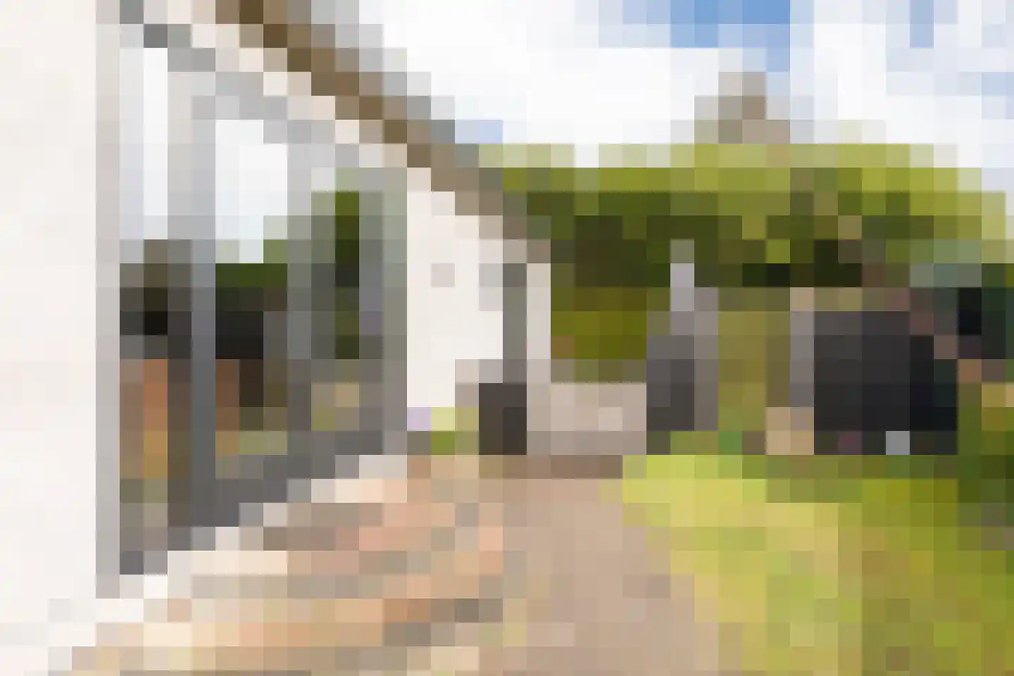 Kieftveen 18 829 Voorthuizen thumbnail 9