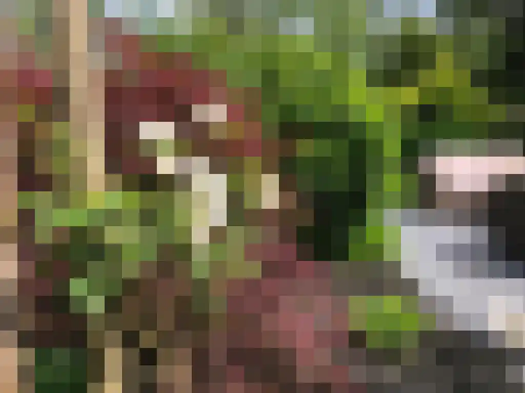 Kieftveen 18 834 Voorthuizen thumbnail 14