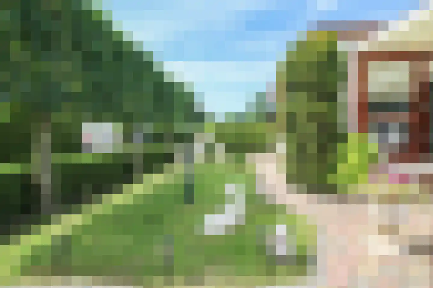 Kieftveen 18 835 Voorthuizen thumbnail 30