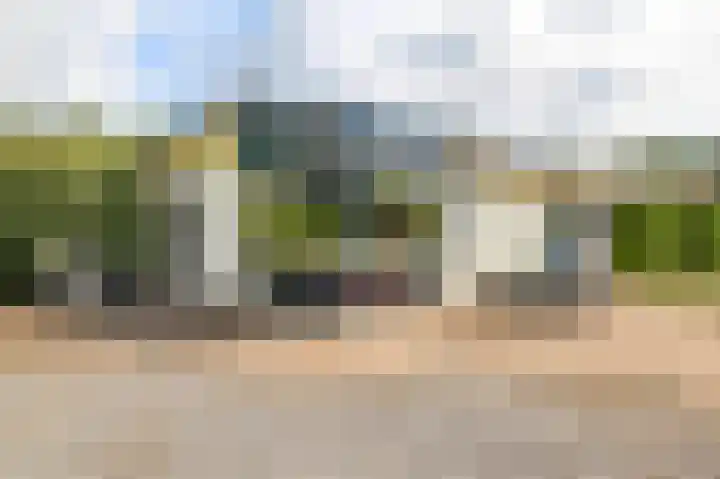 Kieftveen 18 857 Voorthuizen thumbnail 29