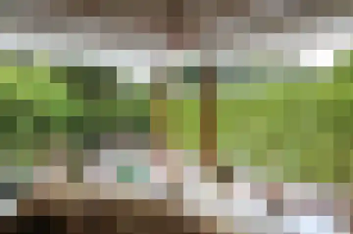 Kieftveen 18 857 Voorthuizen thumbnail 6