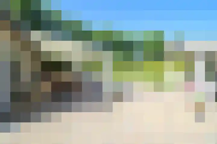 Kieftveen 18 876 Voorthuizen thumbnail 31