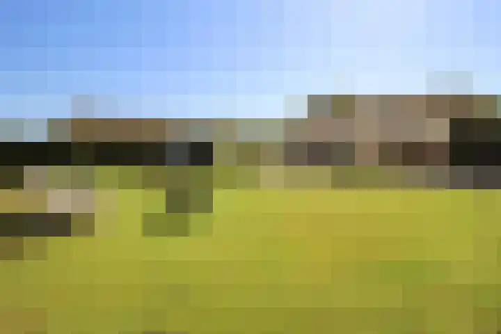 Kieftveen 18 876 Voorthuizen thumbnail 35