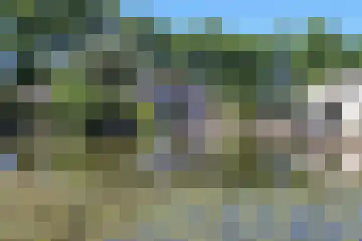 Kieftveen 18 876 Voorthuizen thumbnail 49