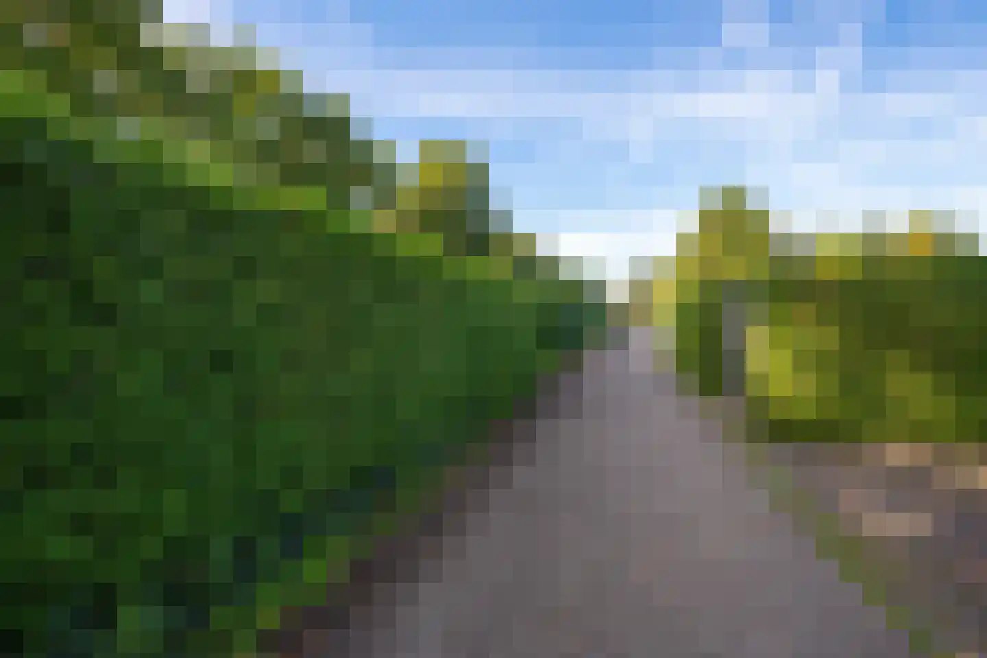 Kieftveen 18 877 Voorthuizen thumbnail 24